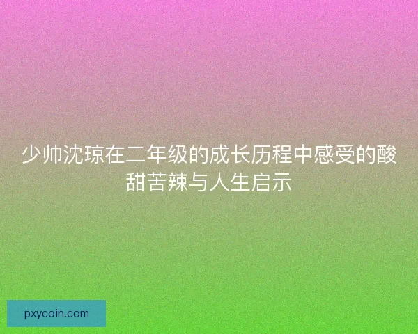 少帅沈琼在二年级的成长历程中感受的酸甜苦辣与人生启示